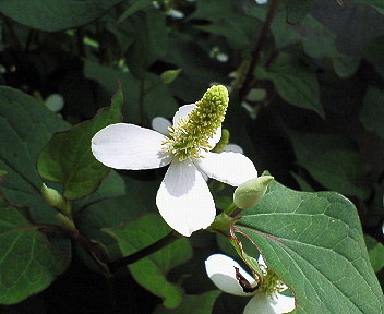 f0167314_21165996.jpg