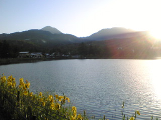 d0004728_525581.jpg