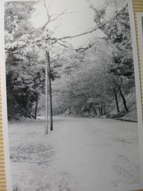 白鳥路_c0048132_12141299.jpg