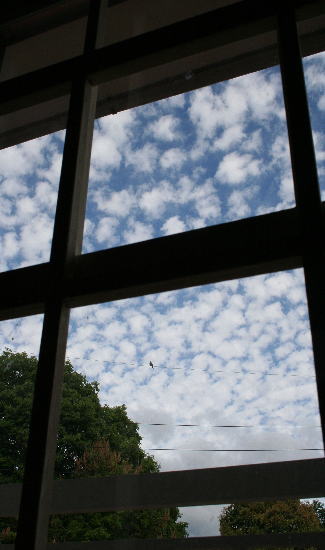 d0017232_992048.jpg