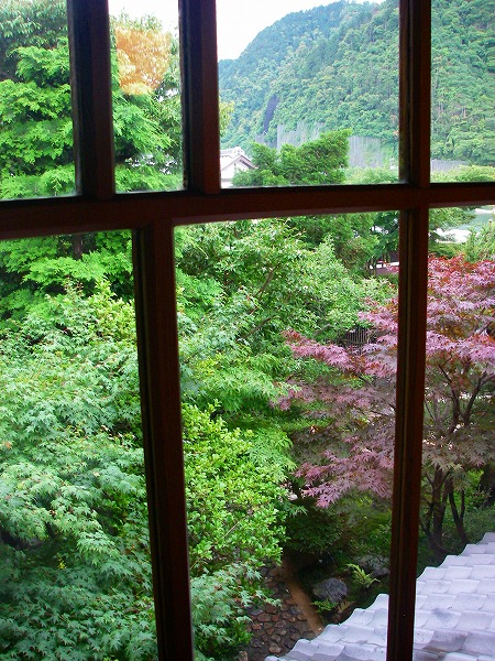 岐阜のお土産２　レッドカード必至_f0050534_2253153.jpg