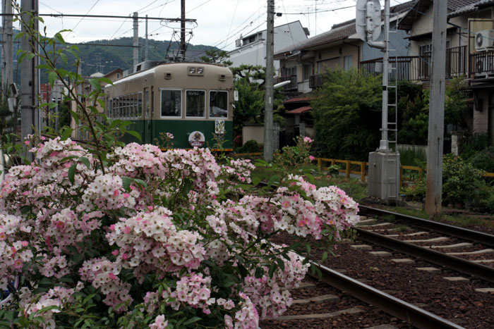 京都散策（２）－嵐山電鉄_c0112245_2375351.jpg