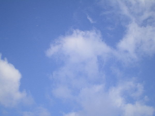 e0017051_826615.jpg