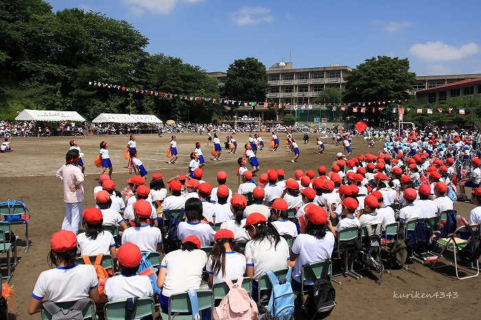 運動会！_c0122653_2195599.jpg