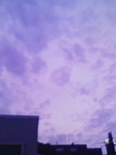f0057456_1992063.jpg