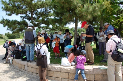 『波打ち際の草花の観察会』 in せんなん里海公園_c0108460_22153610.jpg