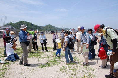 『波打ち際の草花の観察会』 in せんなん里海公園_c0108460_2291840.jpg