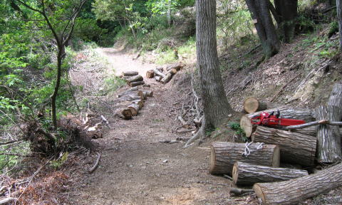 b0129962_1829409.jpg