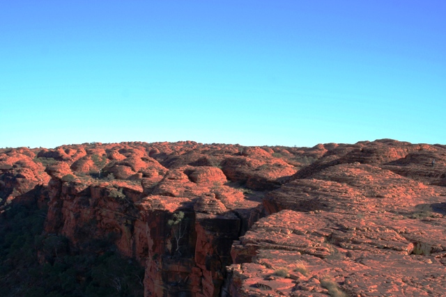 b0119567_2120597.jpg