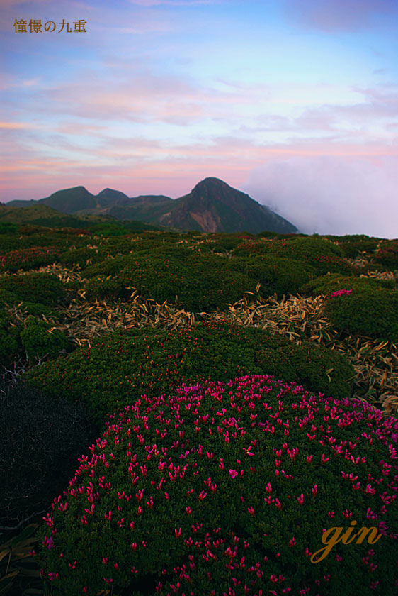 f0173067_14254158.jpg