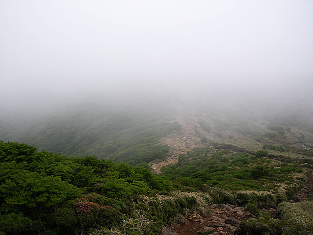 f0173067_15173951.jpg
