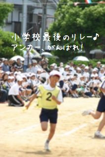 水無月・・・小学校最後の体育大会_c0051668_19304978.jpg