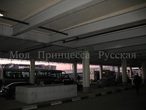 モスクワ　シェレメチェヴォ空港第２ターミナルで荷物を預ける_a0094770_1132045.jpg