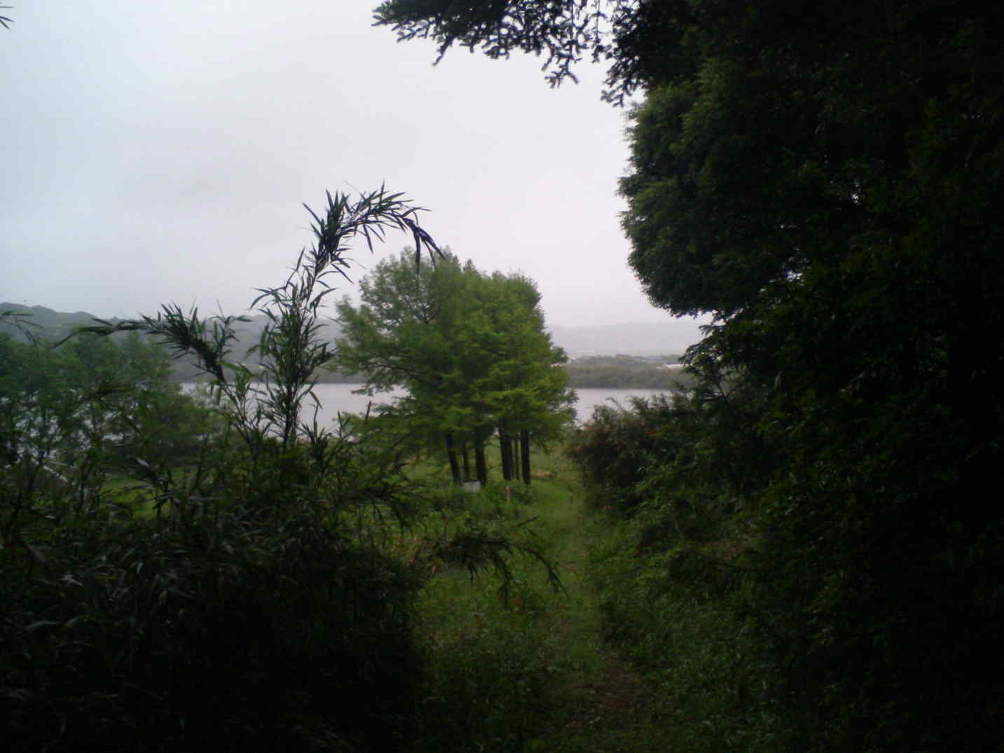f0117673_2247347.jpg