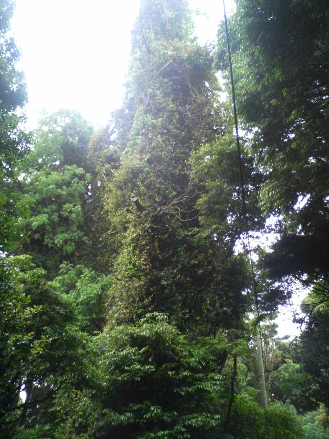 f0117673_22483818.jpg
