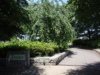 蘆花恒春園 ～花の丘フェスタ ポピーまつり編_c0105785_19404349.jpg