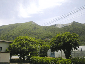 a0096787_22425637.gif