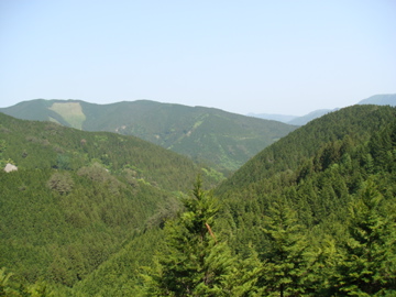 f0178087_042117.jpg