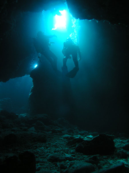c0118393_817691.jpg