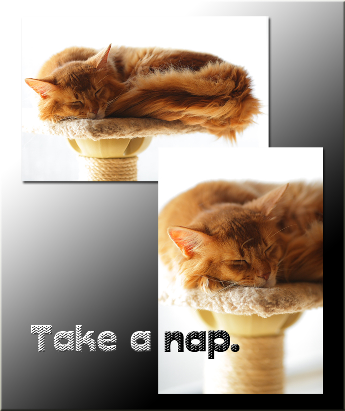 Take a nap..._e0139093_1938519.jpg