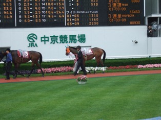 中京競馬1_d0030994_14473287.jpg