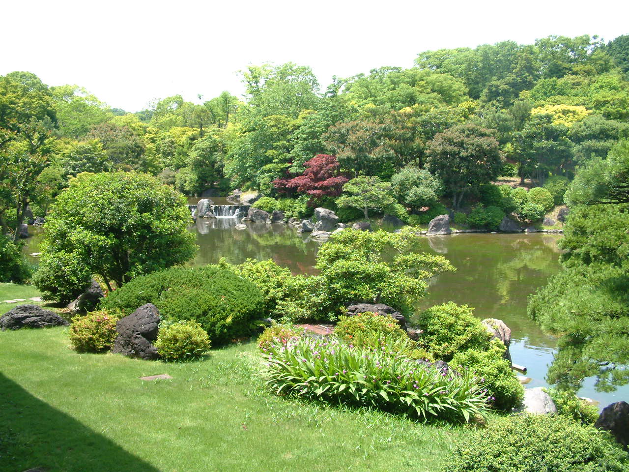 万博公園の花めぐり_b0044296_2012747.jpg