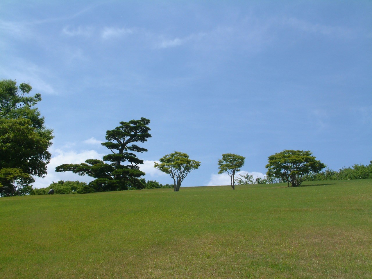 万博公園の花めぐり_b0044296_2019293.jpg