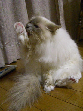 a0045697_0255840.jpg