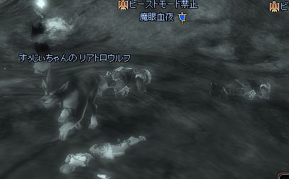c0132497_013287.jpg