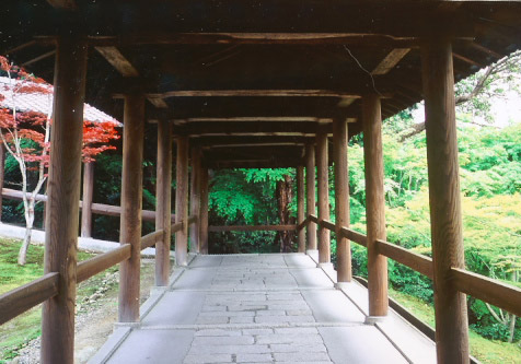 京都春風景、銀塩の巻_f0003598_1358886.jpg