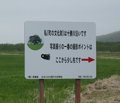 f0002701_69970.jpg