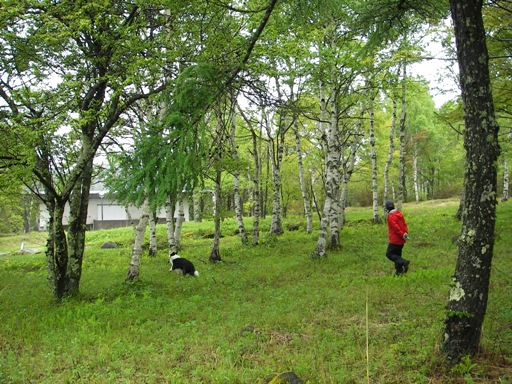 f0034602_20443761.jpg
