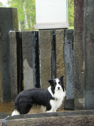 f0034602_20481819.jpg