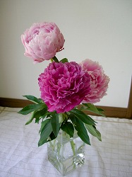 f0164903_21442890.jpg