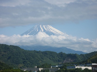 箱根周辺駆け足めぐり_d0001004_9575099.jpg