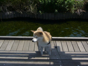 e0131506_033077.jpg