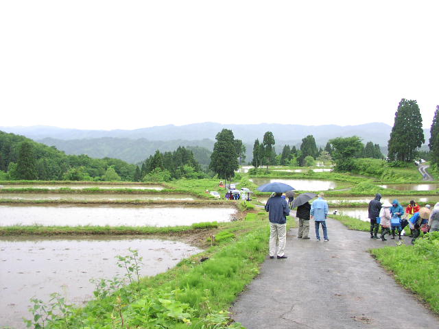 e0126009_108856.jpg