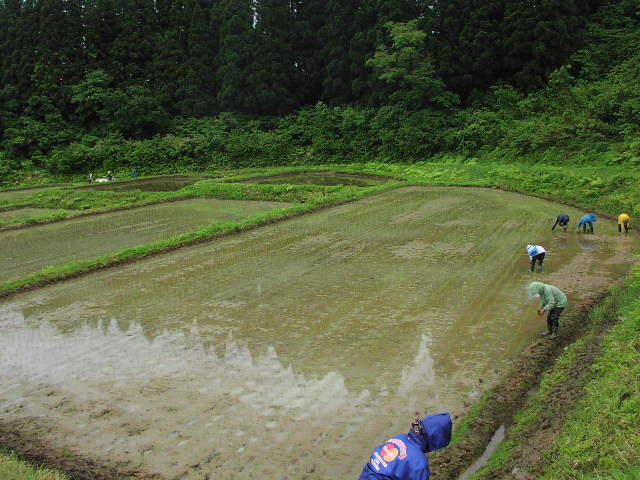 e0126009_1093040.jpg