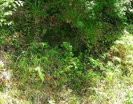 e0034012_10273616.jpg
