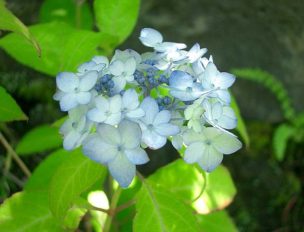 e0034012_10303090.jpg