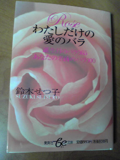 愛しのRose_d0085018_2248165.jpg