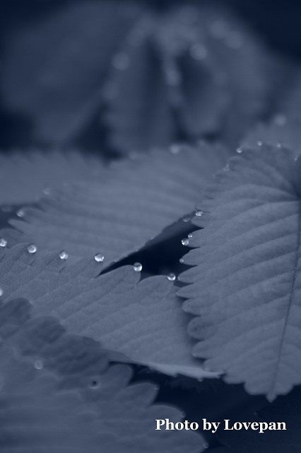c0136926_23592691.jpg