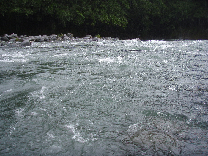 急激な気温変動。この週末の釣果はいかに？_f0103126_19543158.jpg