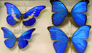 a0025532_18274014.jpg