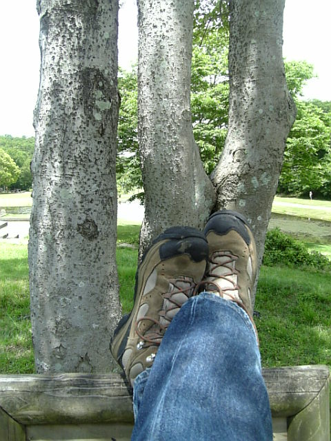 f0012637_16275883.jpg