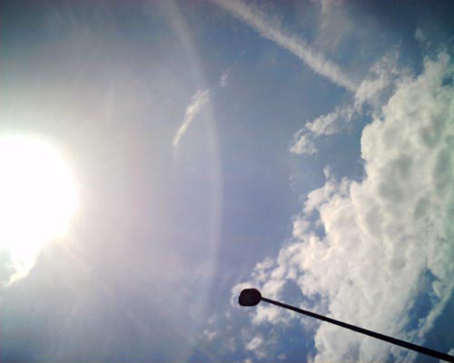 d0129041_014564.jpg