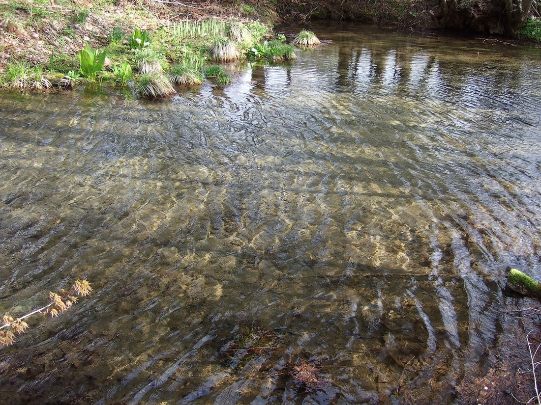 神秘の水面に陽は差して_d0001843_045455.jpg