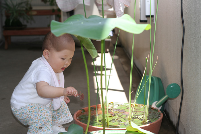 d0042049_110341.jpg