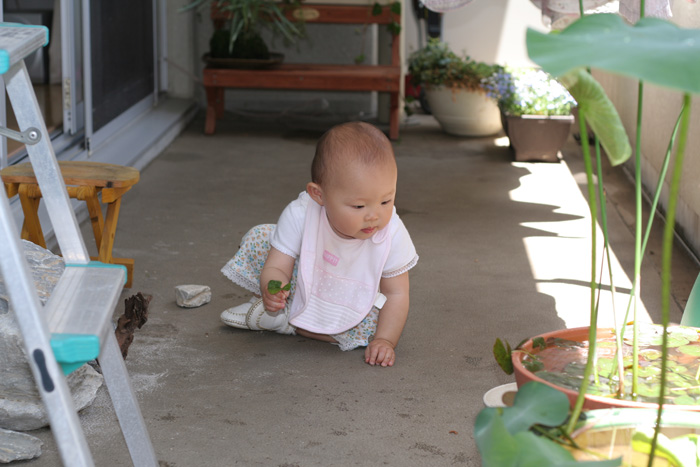 d0042049_1105920.jpg