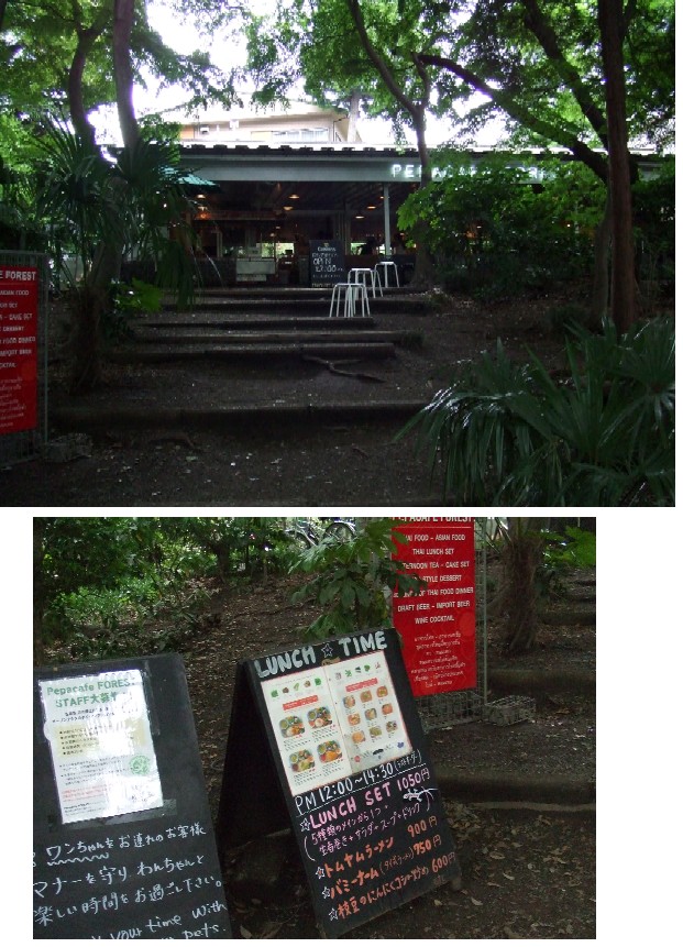 吉祥寺&井の頭公園_e0129656_2222121.jpg